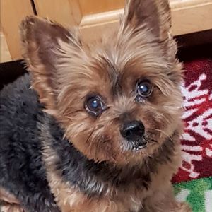 Meet your Posher, Joann